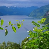 C 2007-08 Tvinnefoss 16 LR sRGB