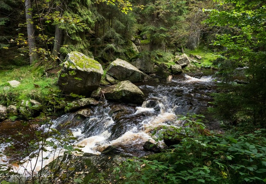 Schwarzwassertal