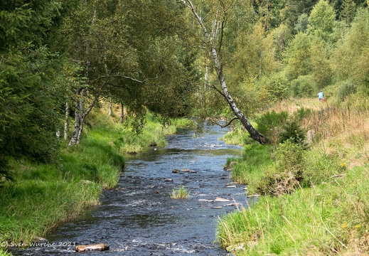 Schwarzwassertal