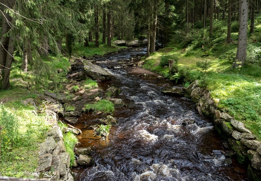 Schwarzwassertal