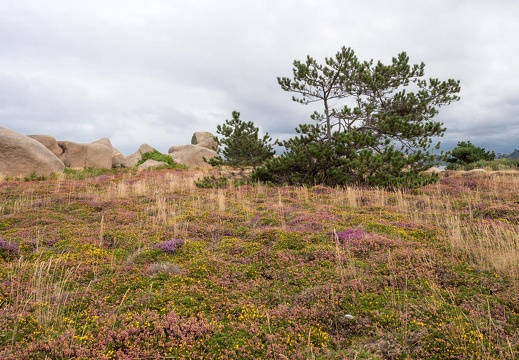 Bretagne