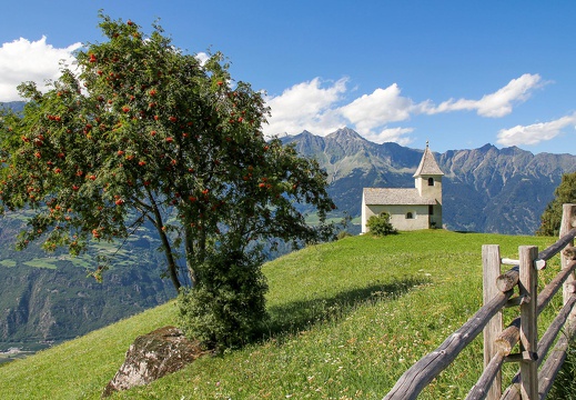 Eberesche, Südtirol