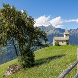 Eberesche, Südtirol