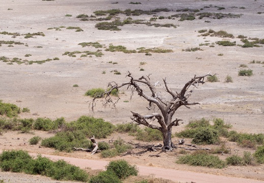 Kenia, Amboseli