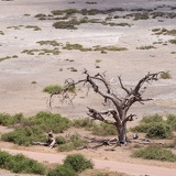 Kenia, Amboseli