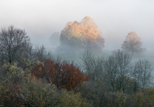 Herbstimpression