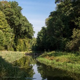 C 1000Ludwig-Donau-Kanal-7