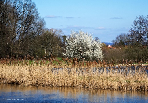 Möhrendorf 038