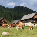 Granitzerklamm 25