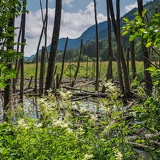 Ossiacher See 02