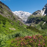 Maderanertal 21 (2955 Besuche) Maderanertal 21
