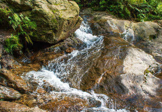 C1000 Bayerischer Wald 01