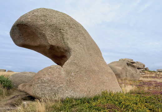 C1000 Bretagne 01