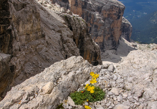 C1000 Dolomiten 02