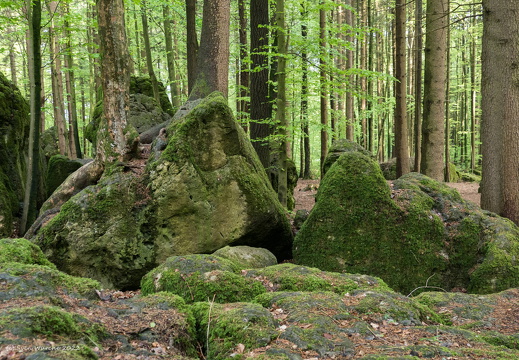 C1000 Fränkische Schweiz 09