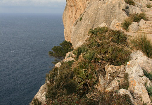 C1000 Mallorca Formentor 01