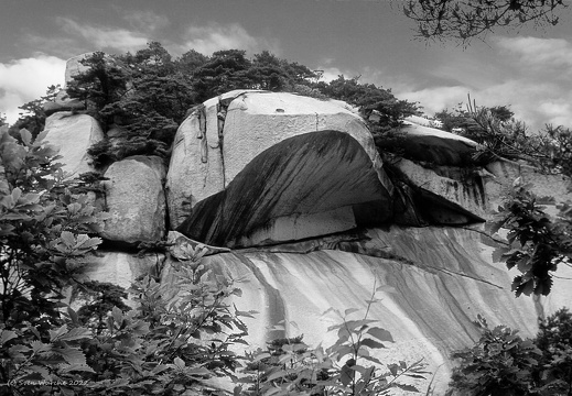 C1000 Südkorea - Turtle head rock