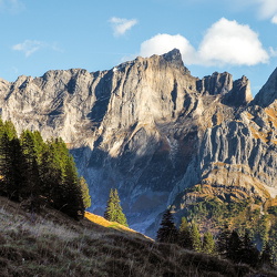 Schwarzwaldalm - Berner Oberland
