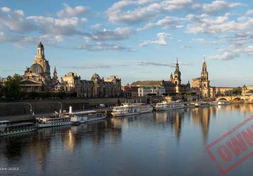 Dresden coll 21