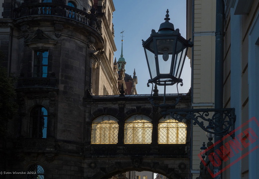 Dresden coll 36