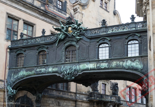 Dresden coll 40