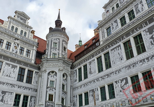 Dresden coll 66