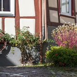 Wimpfen 04
