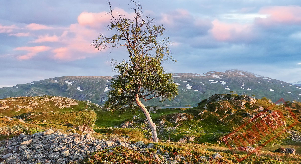 Lysfjord_04.jpg