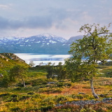 Lysfjord_05.jpg