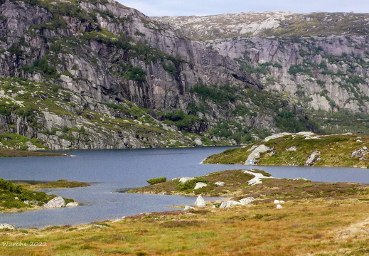Lysfjord 25