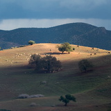 C1500 OMD10623 LR sRGB