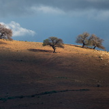 C1500 OMD10625 LR sRGB