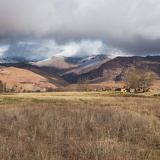 C1500 OMD12240 LR sRGB