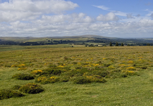 C1000 G Dartmoor 24