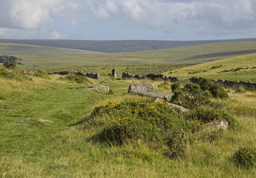 C1000 G Dartmoor 39