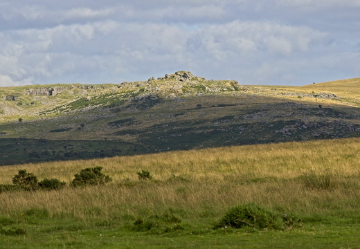 C1000 G Dartmoor 43