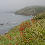 C1000 H West Cornwall 60