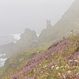 C1000 H West Cornwall 73