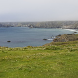 C1000 I Lizard peninsulal 82