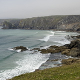 C1000 I Lizard peninsulal 84