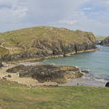 C1000 I Lizard peninsulal 87