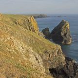 C1000 I Lizard peninsulal 90