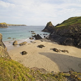 C1000 I Lizard peninsulal 94