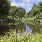 C1000 J Trebah garden 11