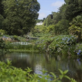 C1000 J Trebah garden 12