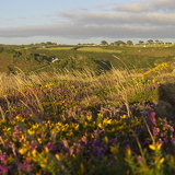 C1000 K Cornwall st-agnes27