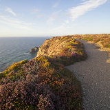 C1000 K Cornwall st-agnes29