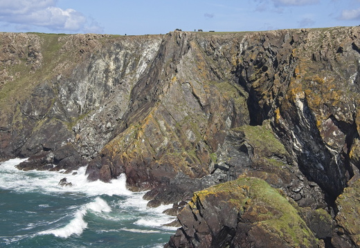 C1000 M Kynance cove 74