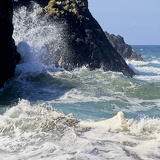 C1000 M Kynance cove 77