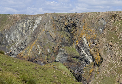 C1000 M Kynance cove 81